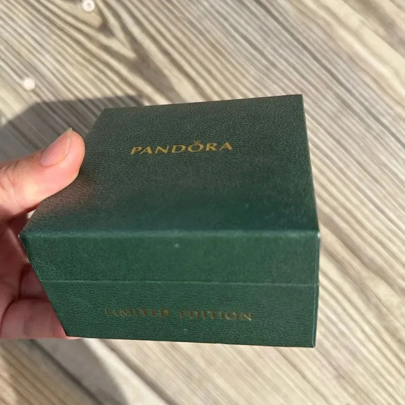 Pandora Limited edition Rose Gold bracelet set 10 charms,Very Rare to find - Picture 9 of 16